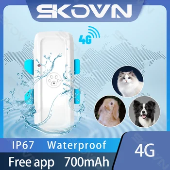 Naujausias Realus 4G Vandeniui Pet GPS Seklys realiu laiku Stebėjimo Šuo Gyvūnų Finder LTE GSM GPS Locator Vikšriniai Geo-tvoros Nemokama programa