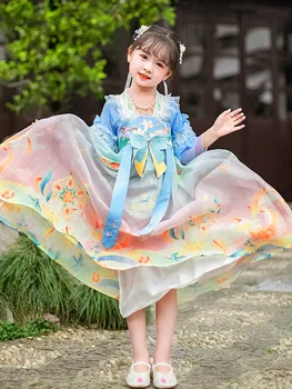 Mergaites, Vaikai, Mėlynos Spalvos Gėlių Siuvinėjimas Hanfu Kinijos Liaudies Vaikų Šalis Princesė Kostiumai, Pasakų Cosplay Suknelė